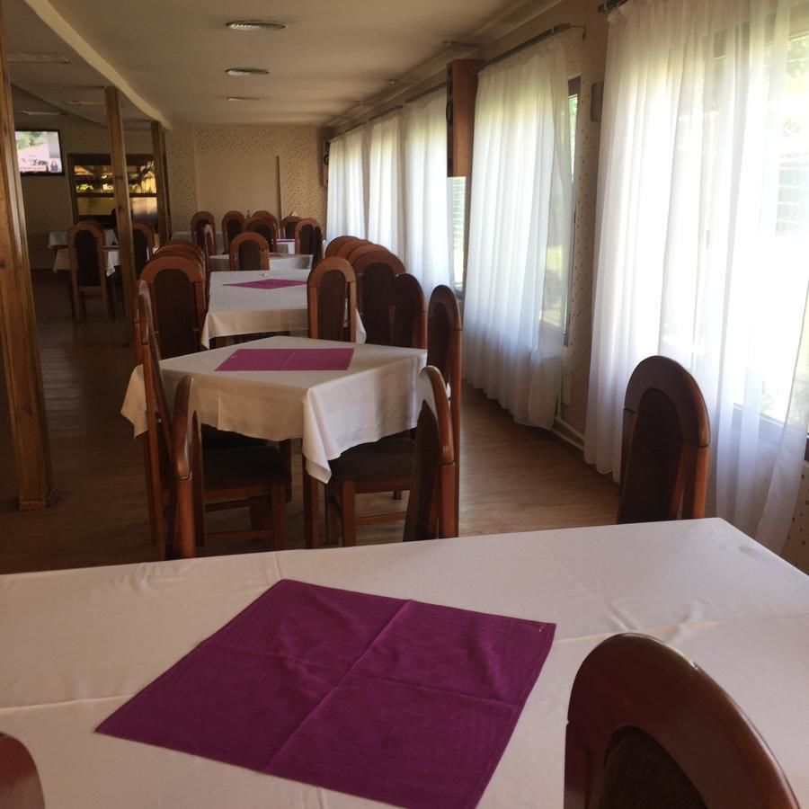 Гостевой дом Pensiune Restaurant Casa Sofia Петрошани-13